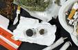 Cannabis